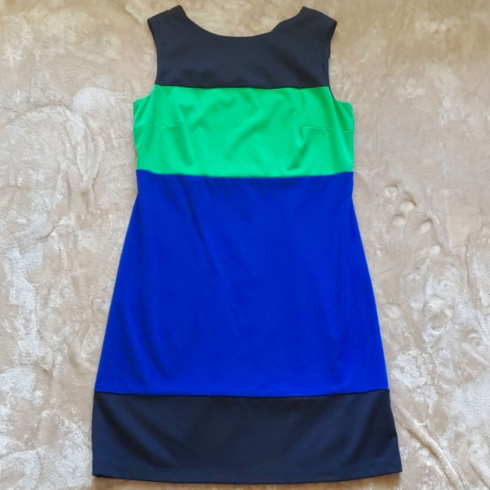 Sleeveless Colorblock Dress